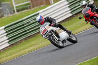 Vintage-motorcycle-club;eventdigitalimages;mallory-park;mallory-park-trackday-photographs;no-limits-trackdays;peter-wileman-photography;trackday-digital-images;trackday-photos;vmcc-festival-1000-bikes-photographs